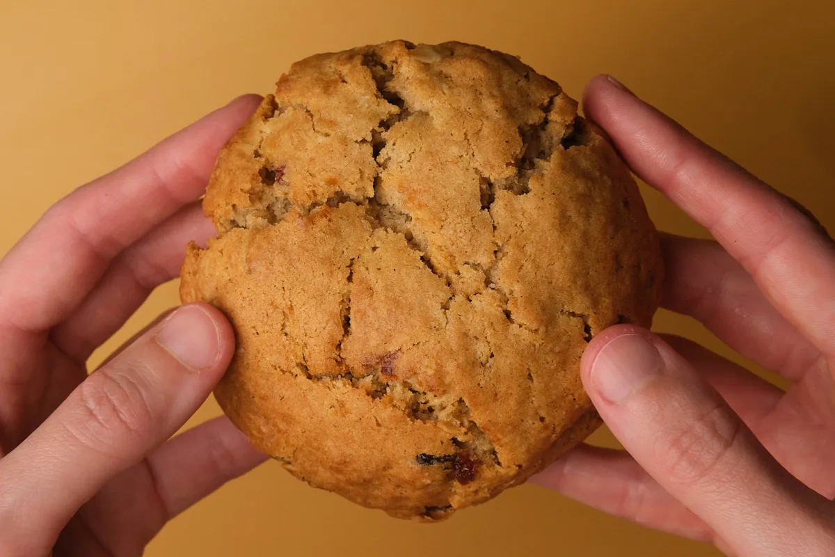 Фото Oatmeal Raisin / Вівсяне | Купити вівсяни кукіз з родзинками