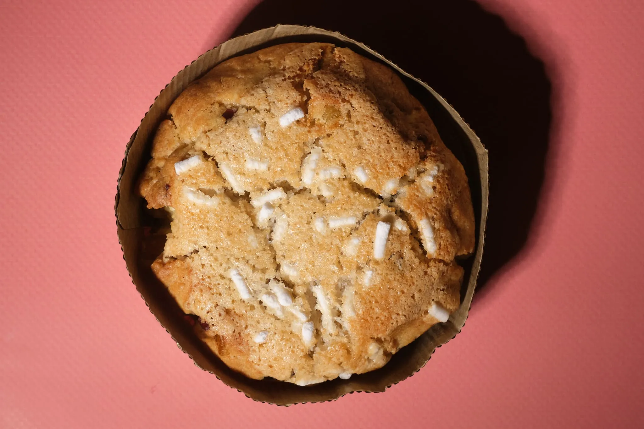 Фото Panettone | Купити печиво зі смаком Панетоне з журавлиною та апельсиновими цукатами